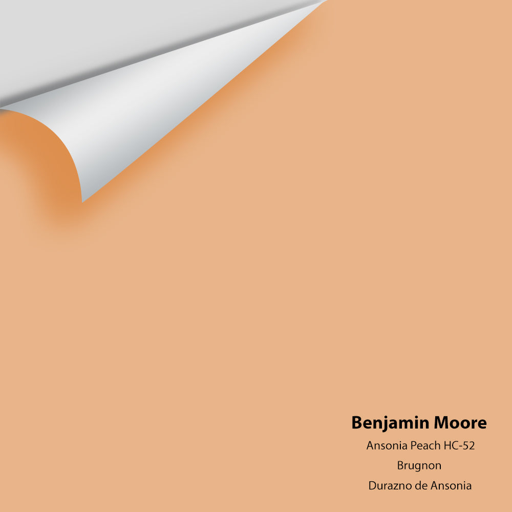 Digital color swatch of Benjamin Moore&#39;s Ansonia Peach HC-52 Peel &amp; Stick Sample available at Anderson Paint in Michigan.