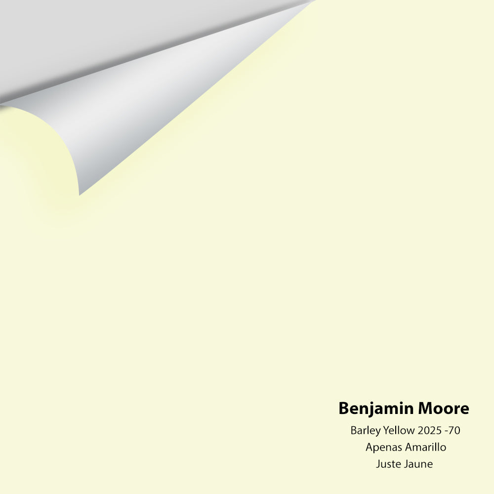 Digital color swatch of Benjamin Moore&#39;s Barely Yellow 2025-70 Peel &amp; Stick Sample available at Anderson Paint in Michigan.