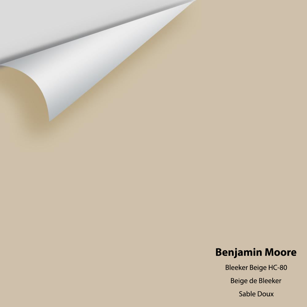 Digital color swatch of Benjamin Moore&#39;s Bleeker Beige HC-80 Peel &amp; Stick Sample available at Anderson Paint in Michigan.
