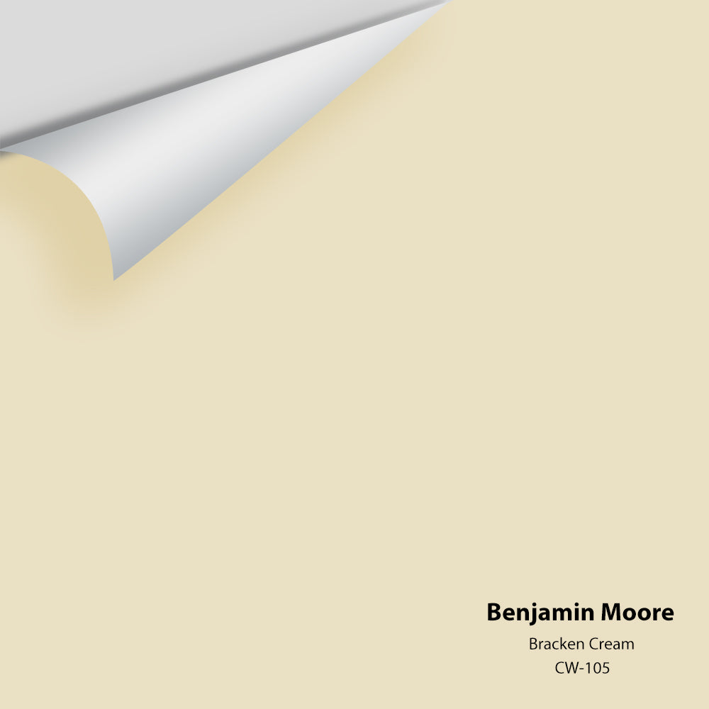 Digital color swatch of Benjamin Moore&#39;s Bracken Cream CW-105 Peel &amp; Stick Sample available at Anderson Paint in Michigan.