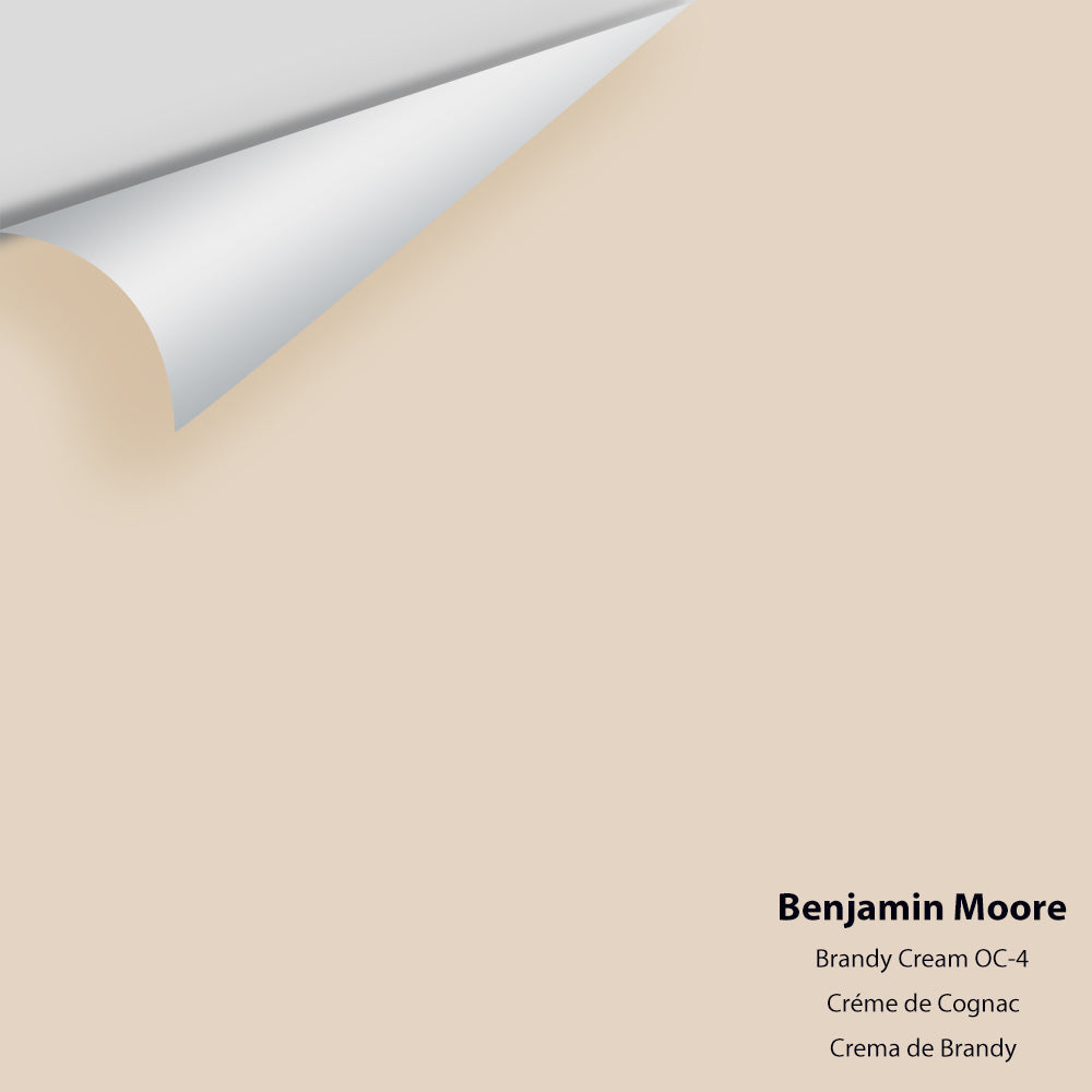 Digital color swatch of Benjamin Moore&#39;s Brandy Cream CC-60 Peel &amp; Stick Sample available at Anderson Paint in Michigan.