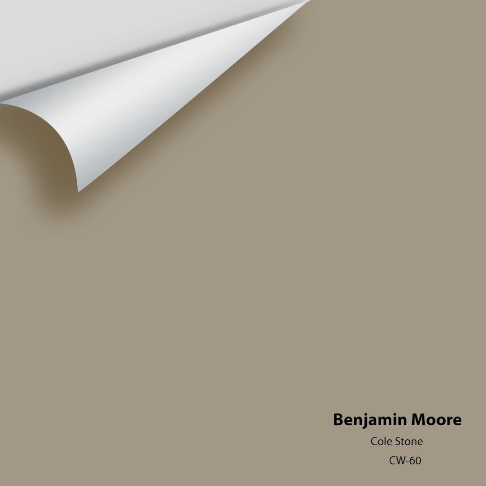 Digital color swatch of Benjamin Moore&#39;s Cole Stone CW-60 Peel &amp; Stick Sample available at Anderson Paint in Michigan.