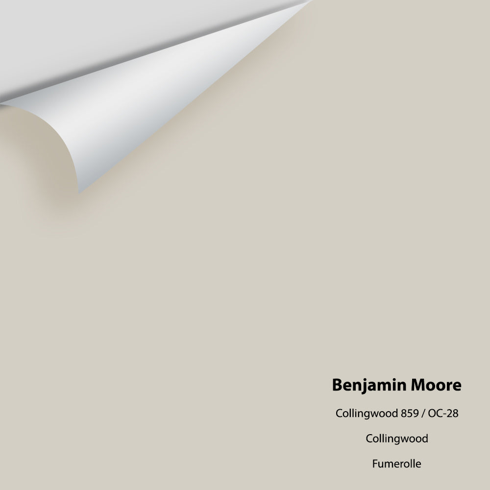Digital color swatch of Benjamin Moore&#39;s Collingwood OC-28 Peel &amp; Stick Sample available at Anderson Paint in Michigan.