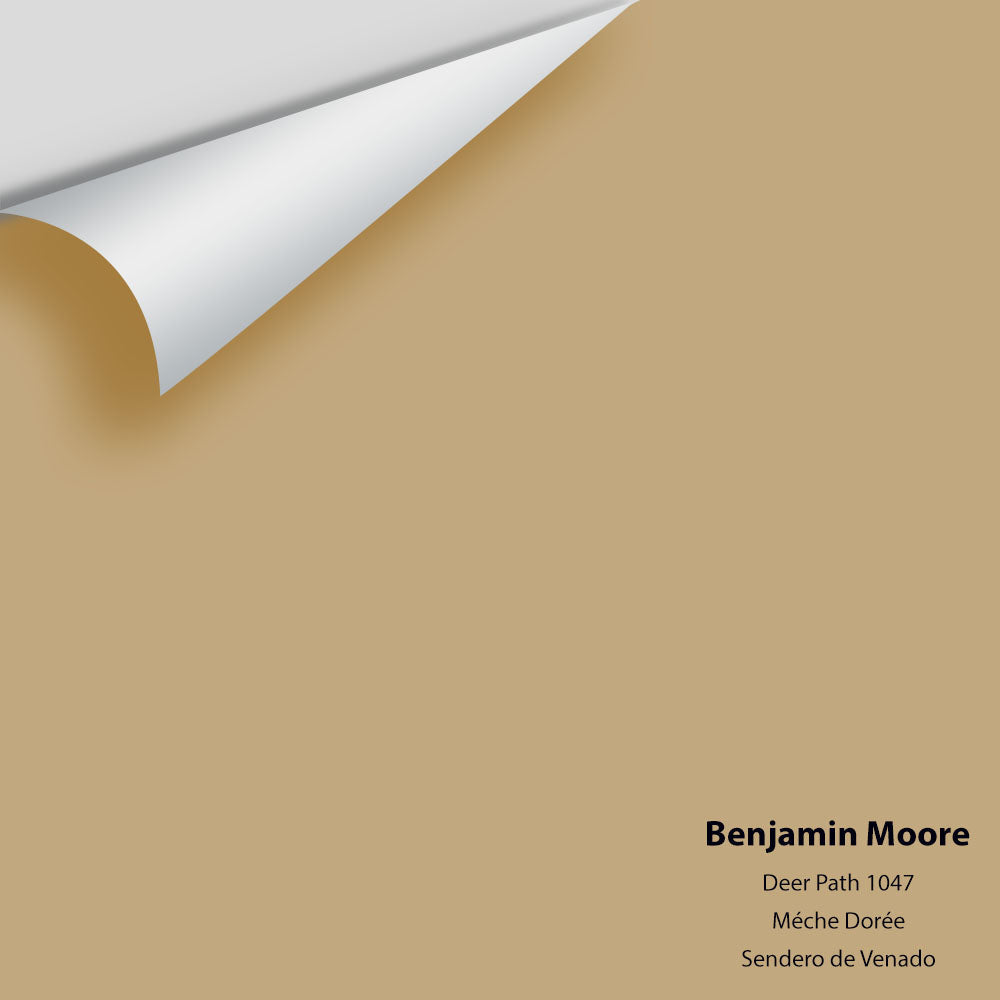 Digital color swatch of Benjamin Moore&#39;s Deer Path 1047 Peel &amp; Stick Sample available at Anderson Paint in Michigan.