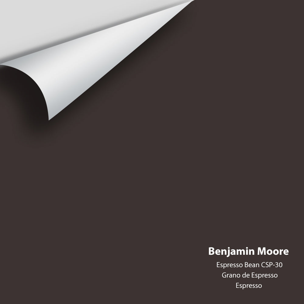 Digital color swatch of Benjamin Moore&#39;s Espresso Bean CSP-30 Peel &amp; Stick Sample available at Anderson Paint in Michigan.