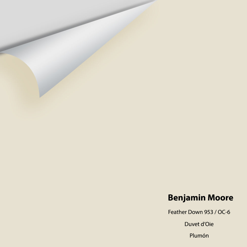 Digital color swatch of Benjamin Moore&#39;s Feather Down 953 Peel &amp; Stick Sample available at Anderson Paint in Michigan.