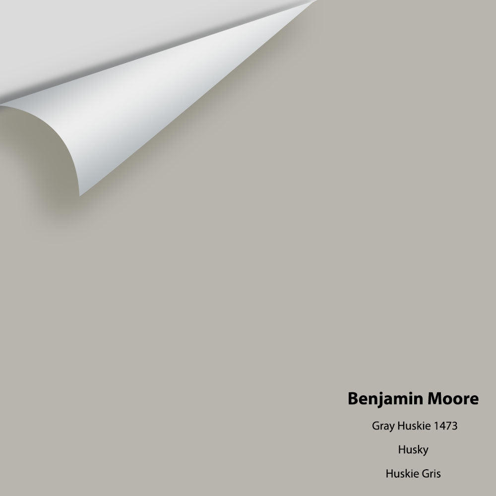 Digital color swatch of Benjamin Moore&#39;s Gray Huskie 1473 Peel &amp; Stick Sample available at Anderson Paint in Michigan.