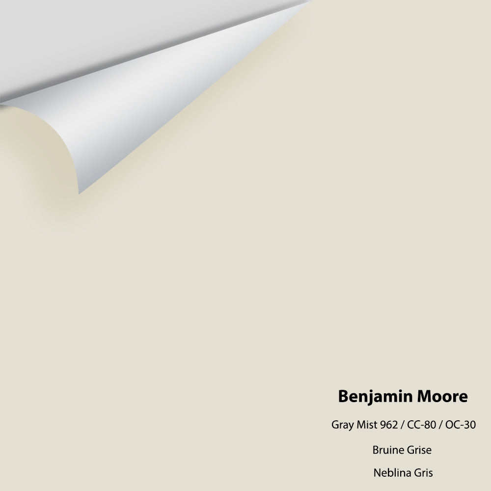 Digital color swatch of Benjamin Moore&#39;s Gray Mist CC-80 Peel &amp; Stick Sample available at Anderson Paint in Michigan.
