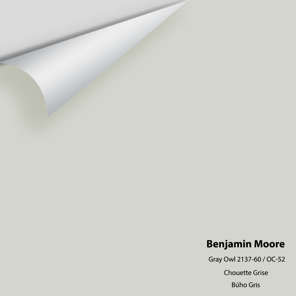 Digital color swatch of Benjamin Moore&#39;s Gray Owl OC-52 Peel &amp; Stick Sample available at Anderson Paint in Michigan.