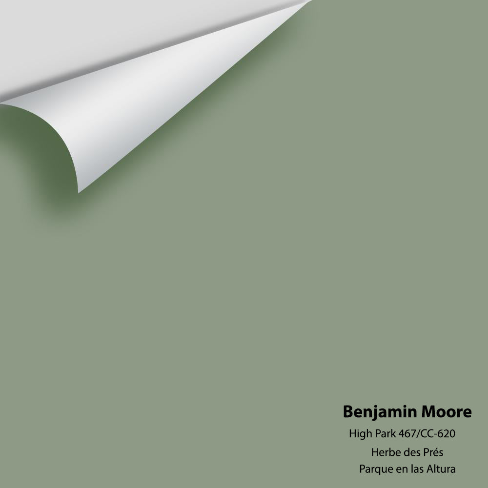 Digital color swatch of Benjamin Moore&#39;s High Park CC-620 Peel &amp; Stick Sample available at Anderson Paint in Michigan.