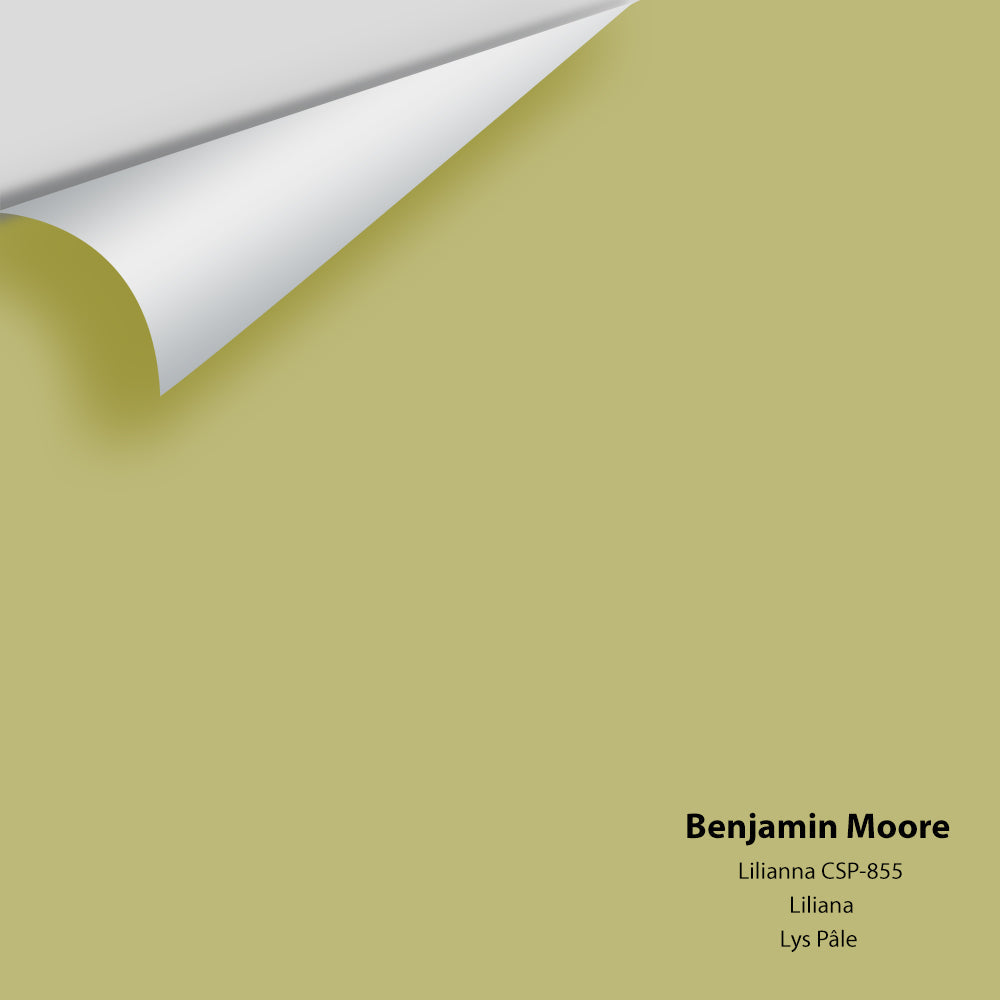 Digital color swatch of Benjamin Moore&#39;s Lilianna CSP-855 Peel &amp; Stick Sample available at Anderson Paint in Michigan.