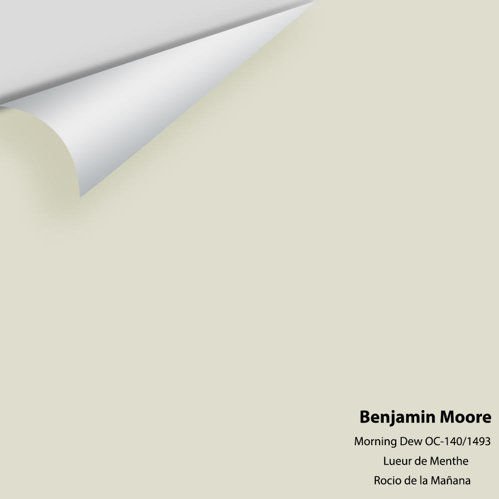 Digital color swatch of Benjamin Moore&#39;s Morning Dew 1493 Peel &amp; Stick Sample available at Anderson Paint in Michigan.