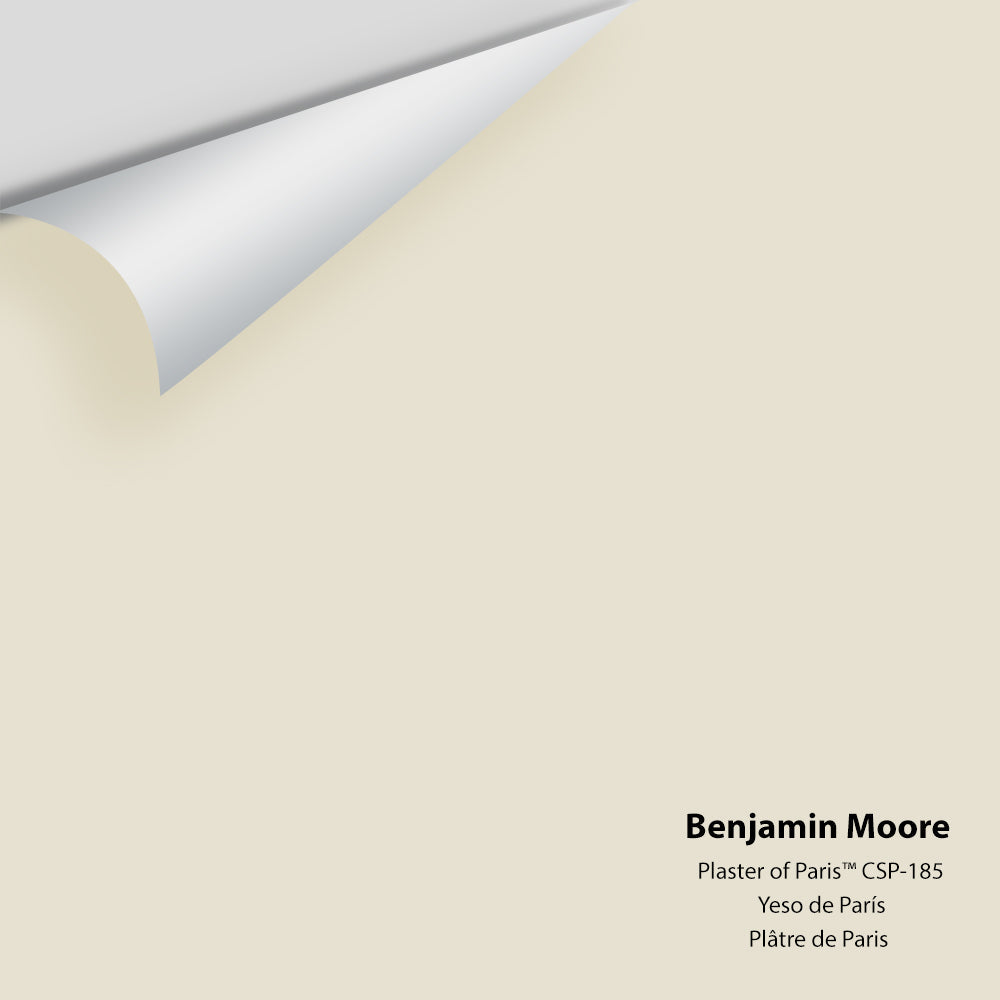 Digital color swatch of Benjamin Moore&#39;s Plaster of Paris CSP-185 Peel &amp; Stick Sample available at Anderson Paint in Michigan.