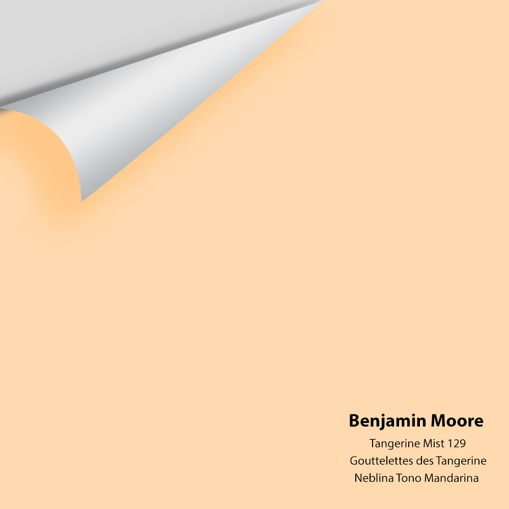 Digital color swatch of Benjamin Moore&#39;s Tangerine Mist 129 Peel &amp; Stick Sample available at Anderson Paint in Michigan.