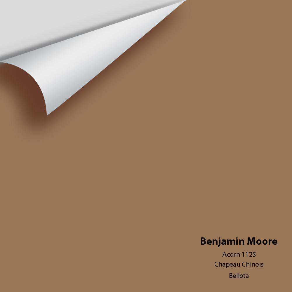 Digital color swatch of Benjamin Moore&#39;s Acorn 1125 Peel &amp; Stick Sample available at Anderson Paint in Michigan.