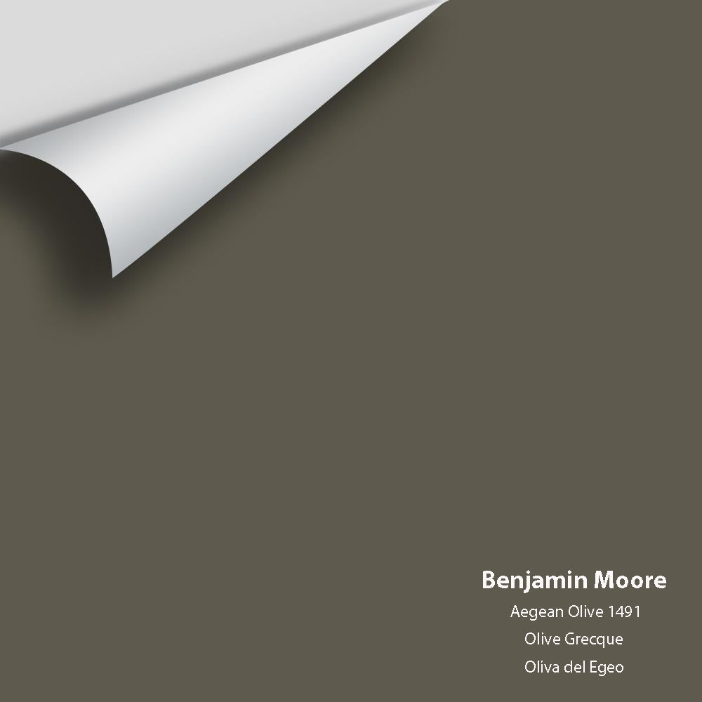 Digital color swatch of Benjamin Moore&#39;s Aegean Olive 1491 Peel &amp; Stick Sample available at Anderson Paint in Michigan.