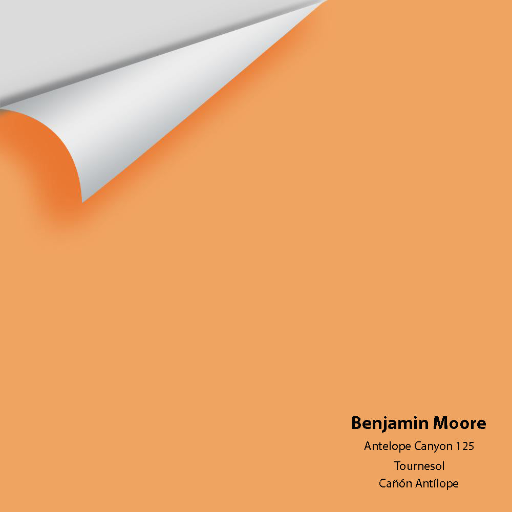 Digital color swatch of Benjamin Moore&#39;s Antelope Canyon 125 Peel &amp; Stick Sample available at Anderson Paint in Michigan.