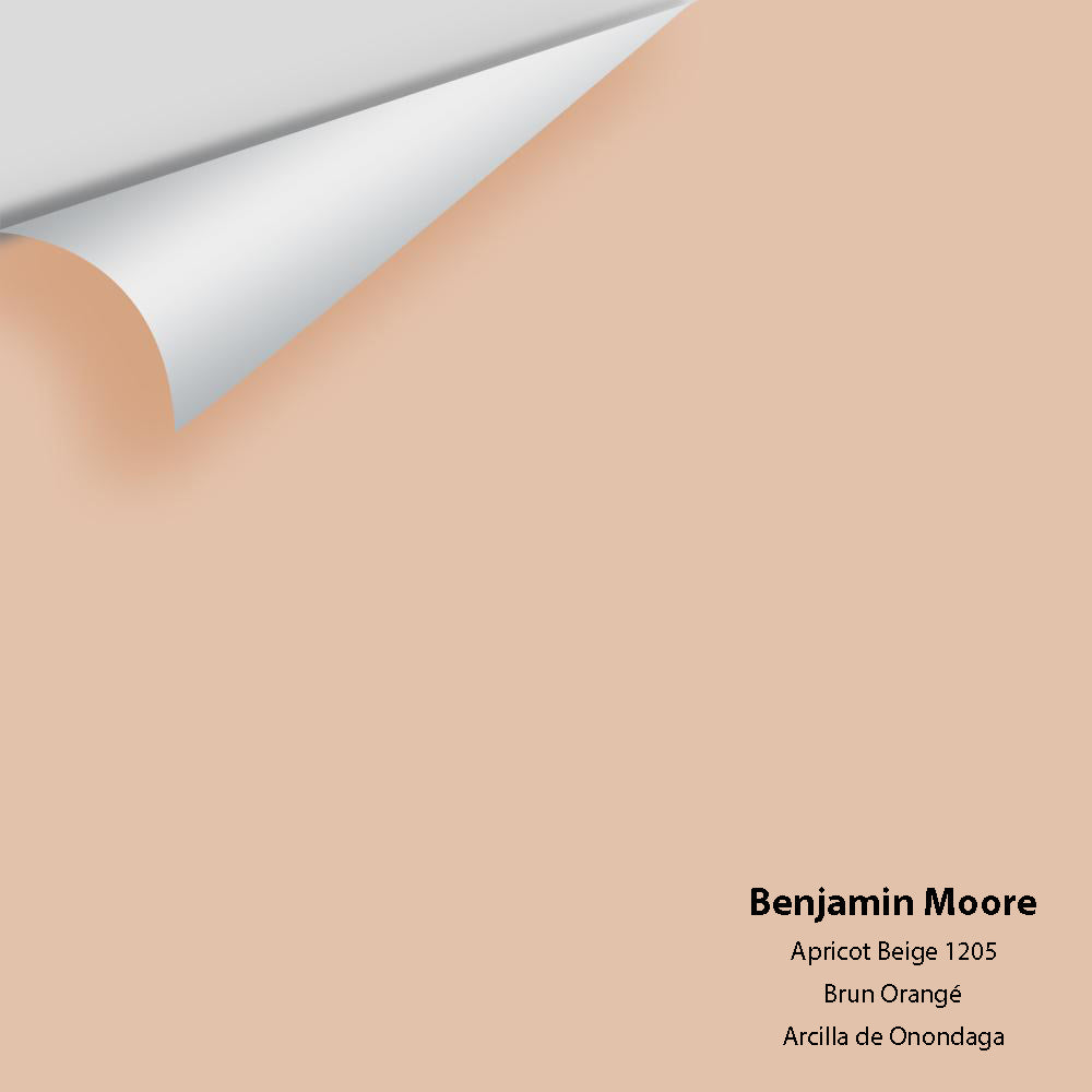 Digital color swatch of Benjamin Moore&#39;s Apricot Beige 1205 Peel &amp; Stick Sample available at Anderson Paint in Michigan.