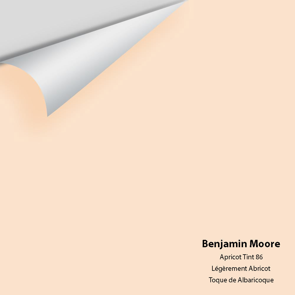 Digital color swatch of Benjamin Moore&#39;s Apricot Tint 86 Peel &amp; Stick Sample available at Anderson Paint in Michigan.