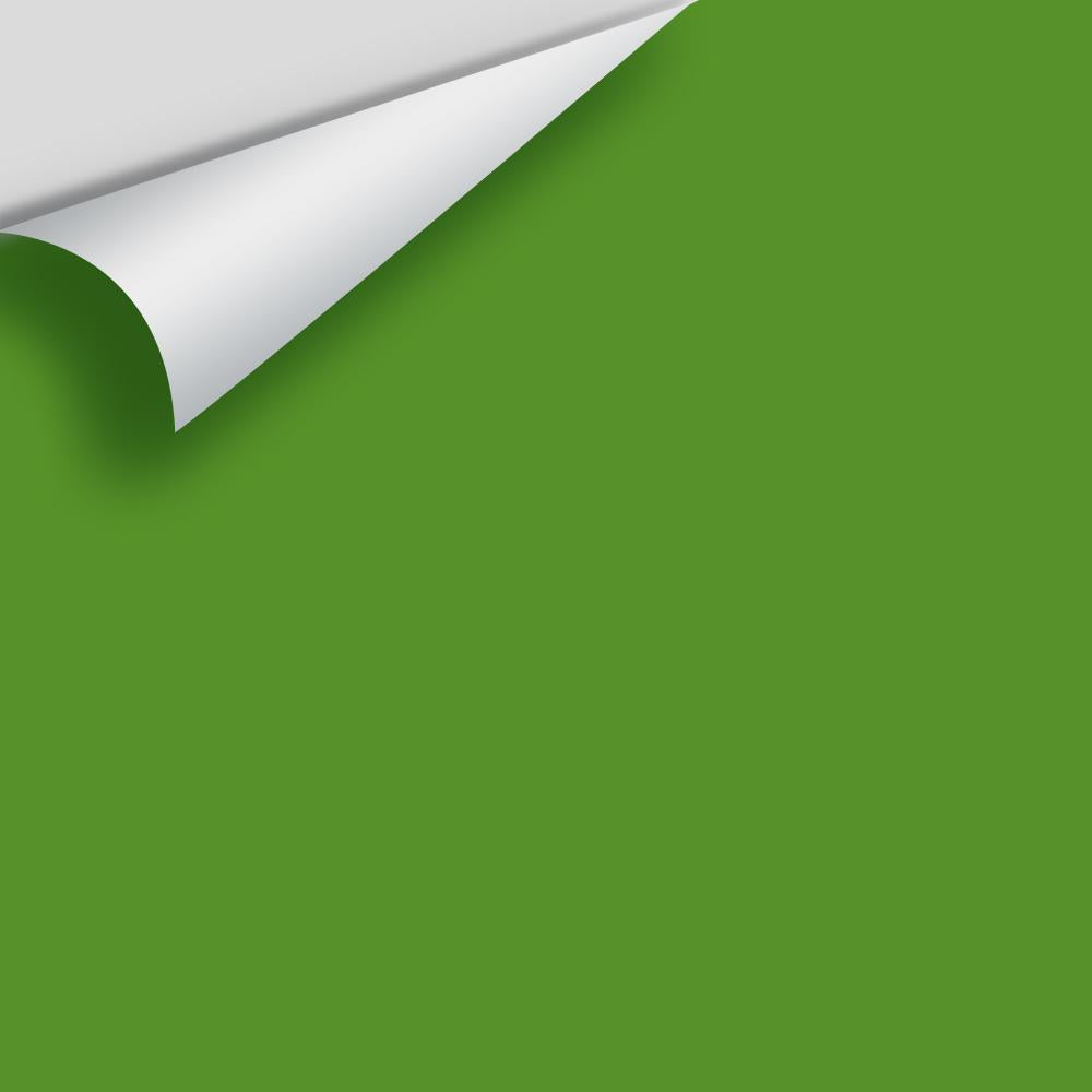 Digital color swatch of Benjamin Moore&#39;s Basil Green 2029-10 Peel &amp; Stick Sample available at Anderson Paint in Michigan.