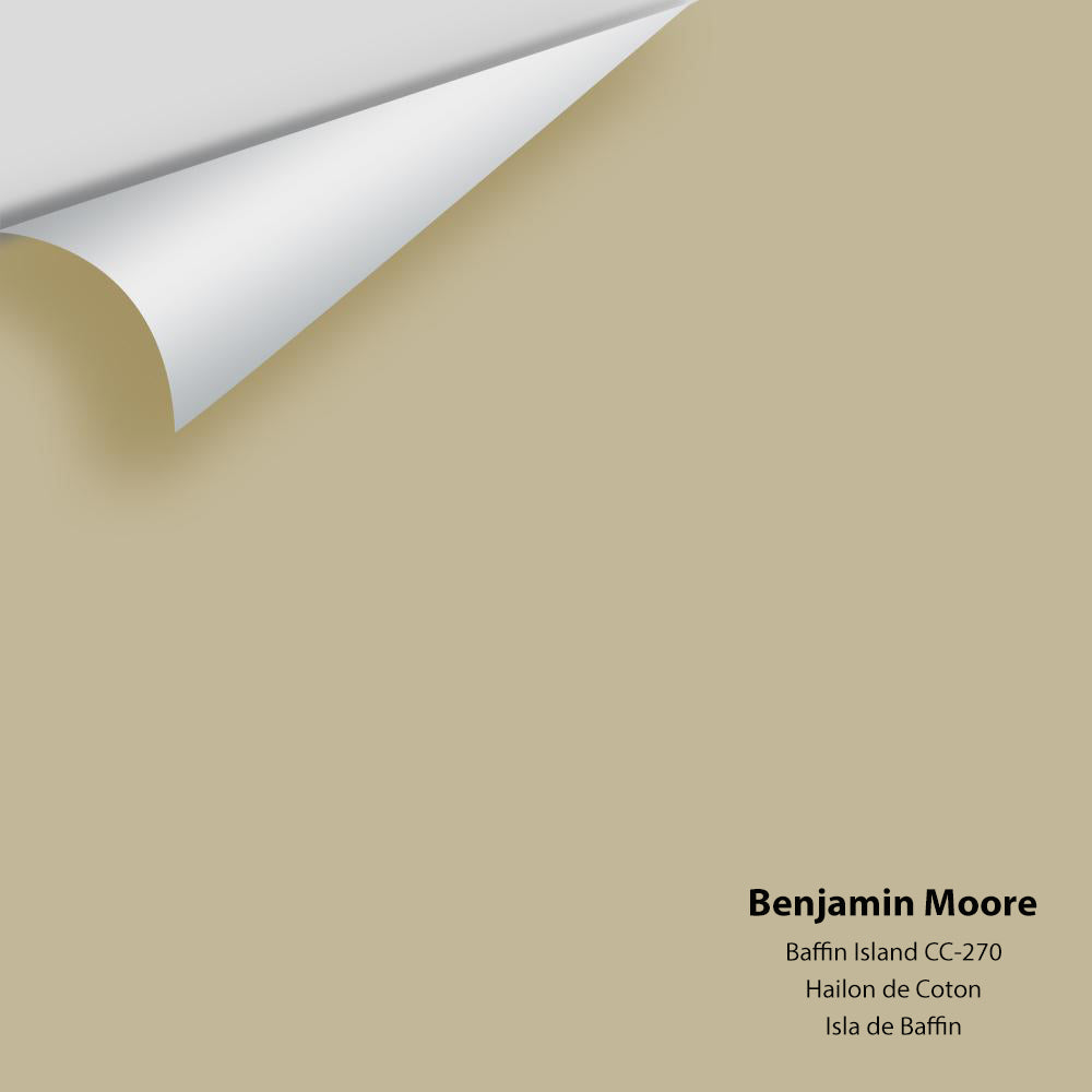 Digital color swatch of Benjamin Moore&#39;s Baffin Island 243 Peel &amp; Stick Sample available at Anderson Paint in Michigan.
