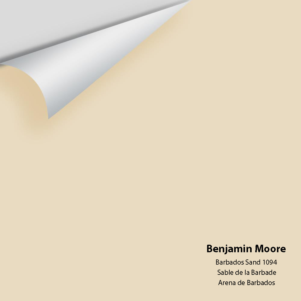 Digital color swatch of Benjamin Moore&#39;s Barbados Sand 1094 Peel &amp; Stick Sample available at Anderson Paint in Michigan.