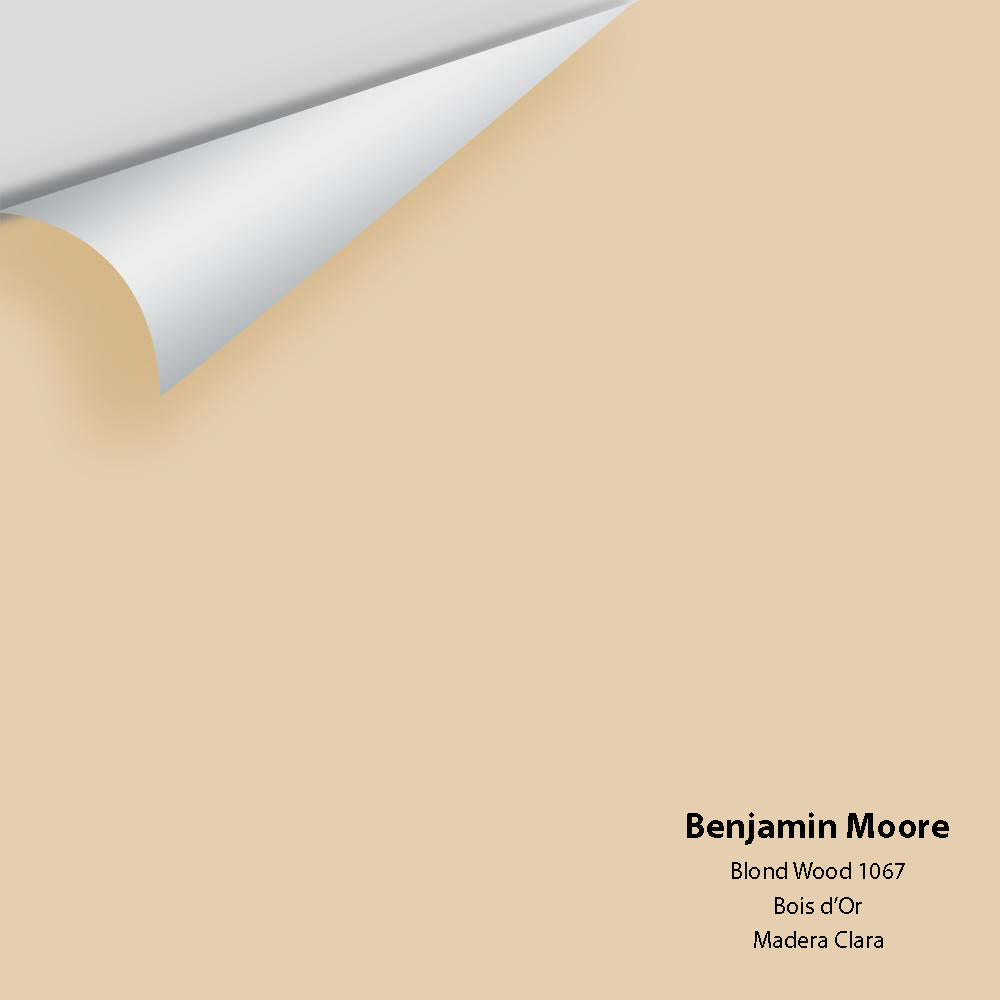 Digital color swatch of Benjamin Moore&#39;s Blond Wood 1067 Peel &amp; Stick Sample available at Anderson Paint in Michigan.