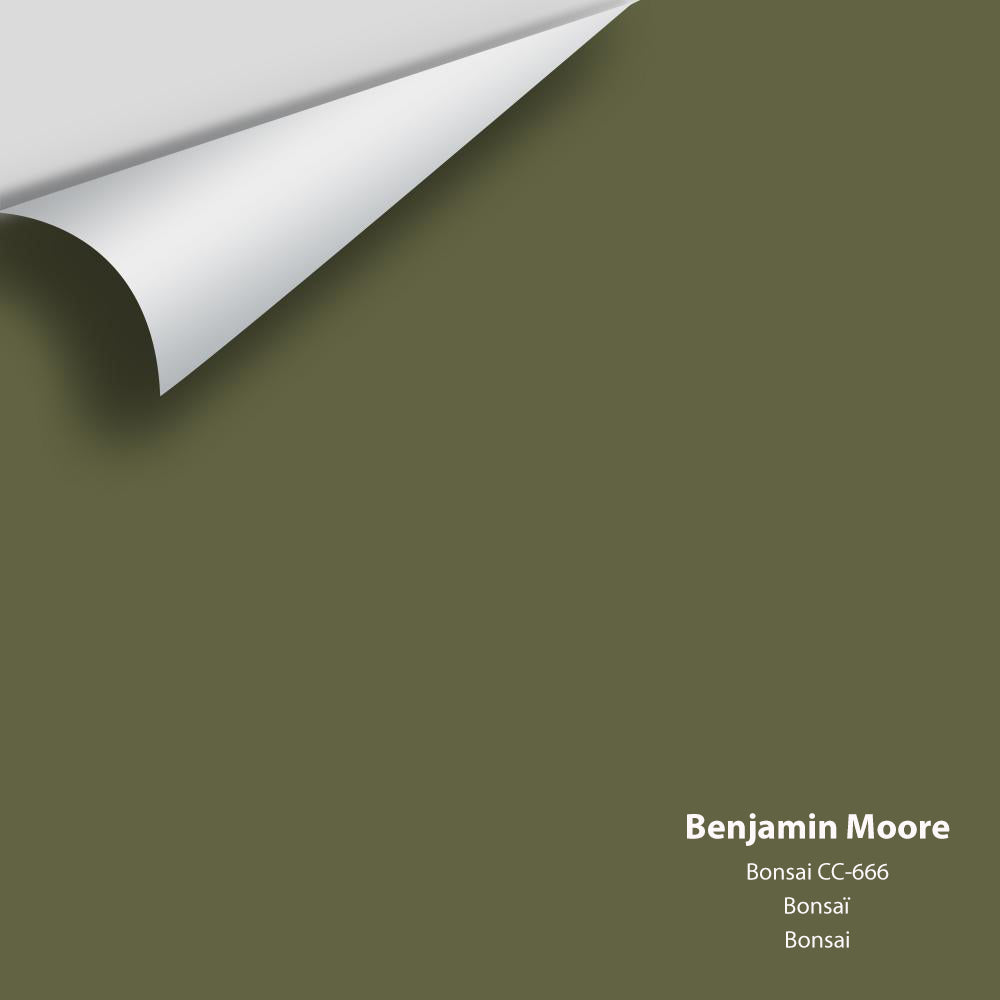 Digital color swatch of Benjamin Moore&#39;s Bonsai CC-666 Peel &amp; Stick Sample available at Anderson Paint in Michigan.