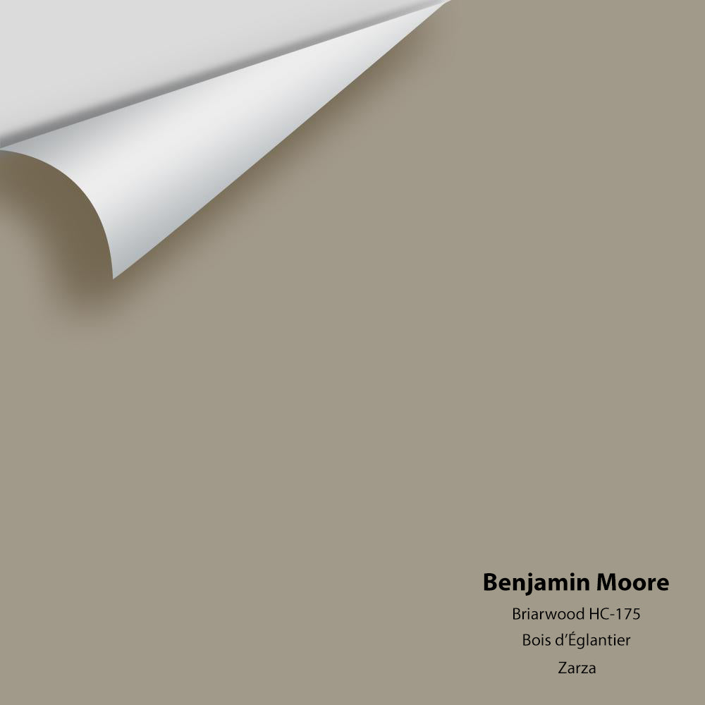 Digital color swatch of Benjamin Moore&#39;s Briarwood HC-175 Peel &amp; Stick Sample available at Anderson Paint in Michigan.