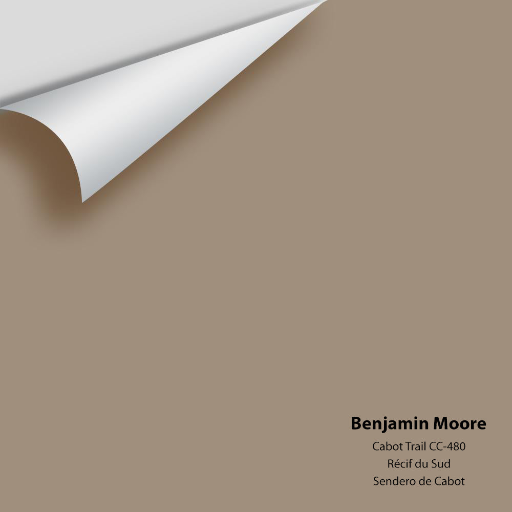 Digital color swatch of Benjamin Moore&#39;s Cabot Trail CC-480 Peel &amp; Stick Sample available at Anderson Paint in Michigan.