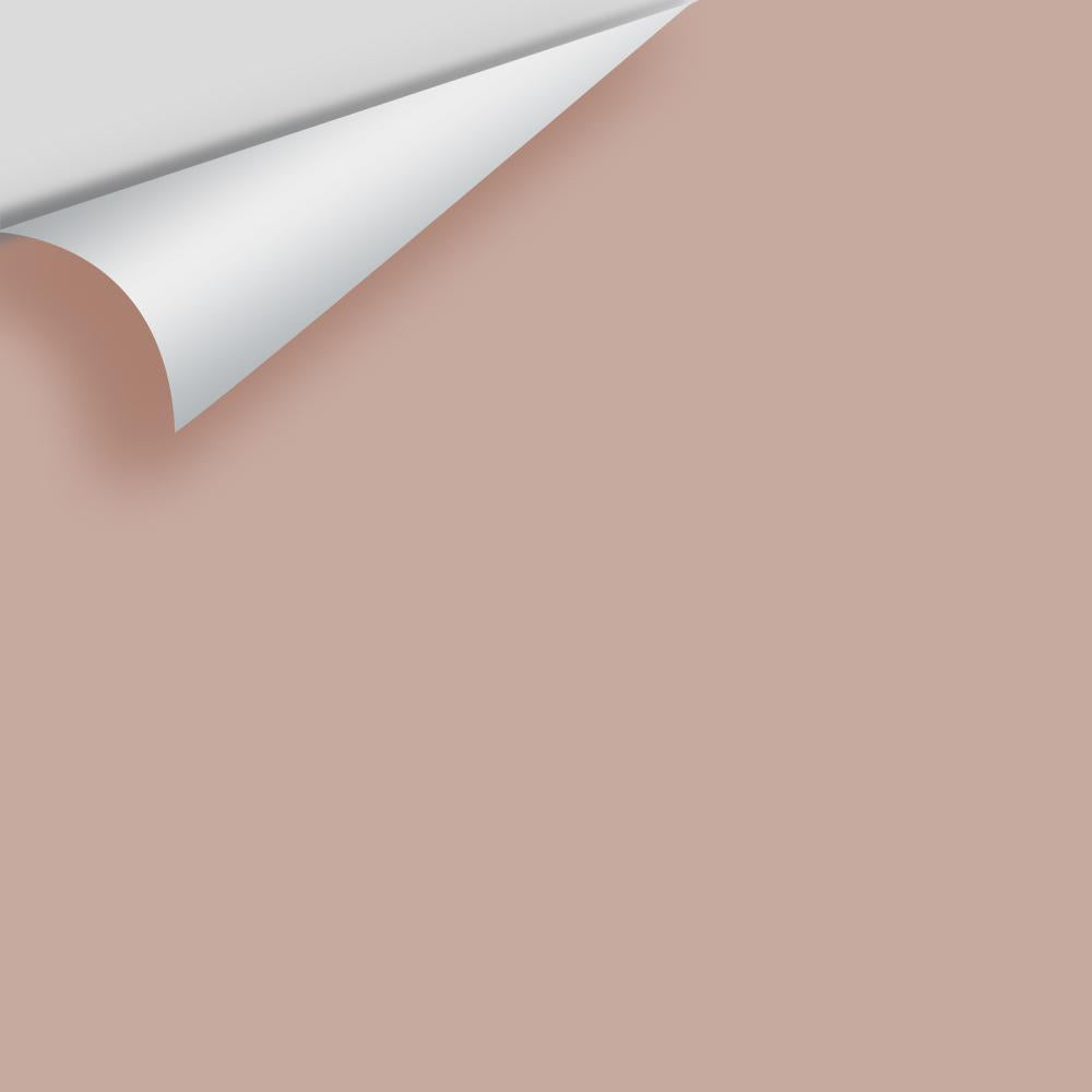 Digital color swatch of Benjamin Moore&#39;s Café Mocha 2099-50 Peel &amp; Stick Sample available at Anderson Paint in Michigan.