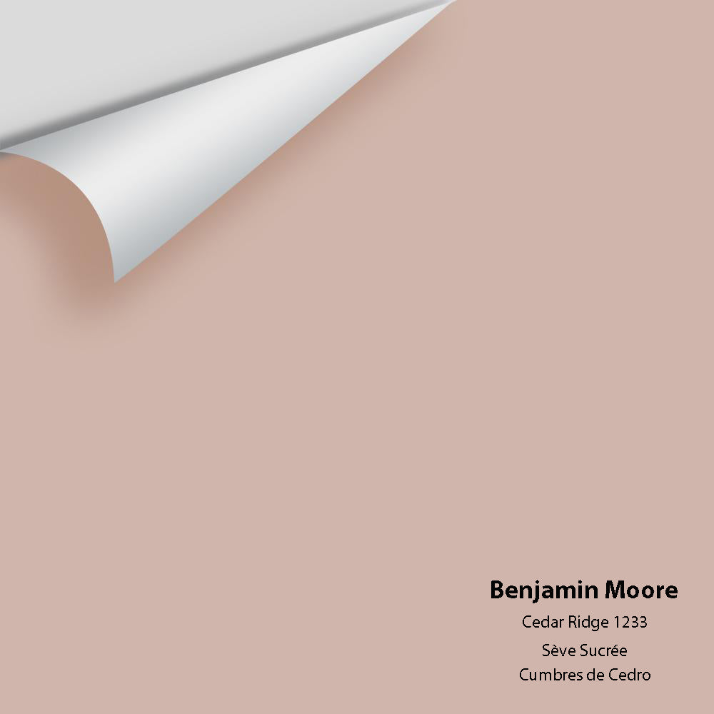 Digital color swatch of Benjamin Moore&#39;s Cedar Ridge 1233 Peel &amp; Stick Sample available at Anderson Paint in Michigan.