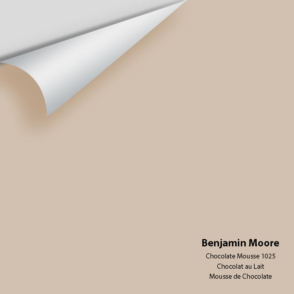 Digital color swatch of Benjamin Moore&#39;s Chocolate Mousse 1025 Peel &amp; Stick Sample available at Anderson Paint in Michigan.