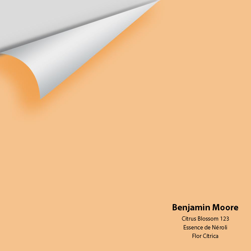 Digital color swatch of Benjamin Moore&#39;s Citrus Blossom 123 Peel &amp; Stick Sample available at Anderson Paint in Michigan.