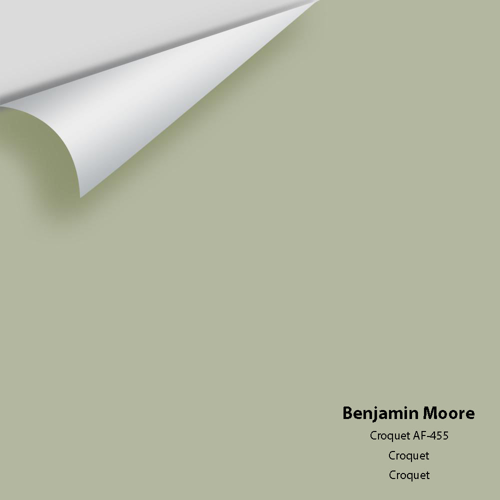 Digital color swatch of Benjamin Moore&#39;s Croquet AF-455 Peel &amp; Stick Sample available at Anderson Paint in Michigan.