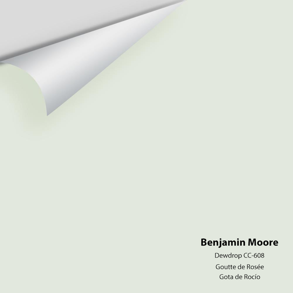 Digital color swatch of Benjamin Moore&#39;s Dewdrop CC-608 Peel &amp; Stick Sample available at Anderson Paint in Michigan.