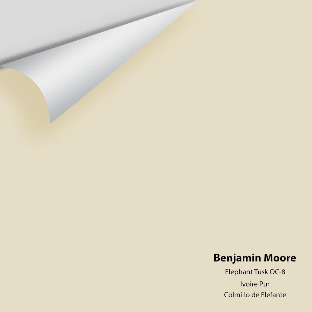 Digital color swatch of Benjamin Moore&#39;s Elephant Tusk OC-8 Peel &amp; Stick Sample available at Anderson Paint in Michigan.