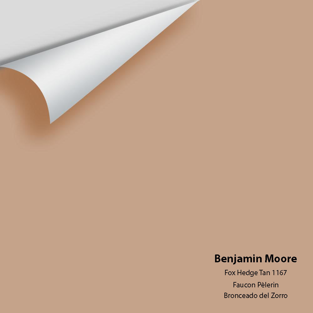 Digital color swatch of Benjamin Moore&#39;s Fox Hedge Tan 1167 Peel &amp; Stick Sample available at Anderson Paint in Michigan.