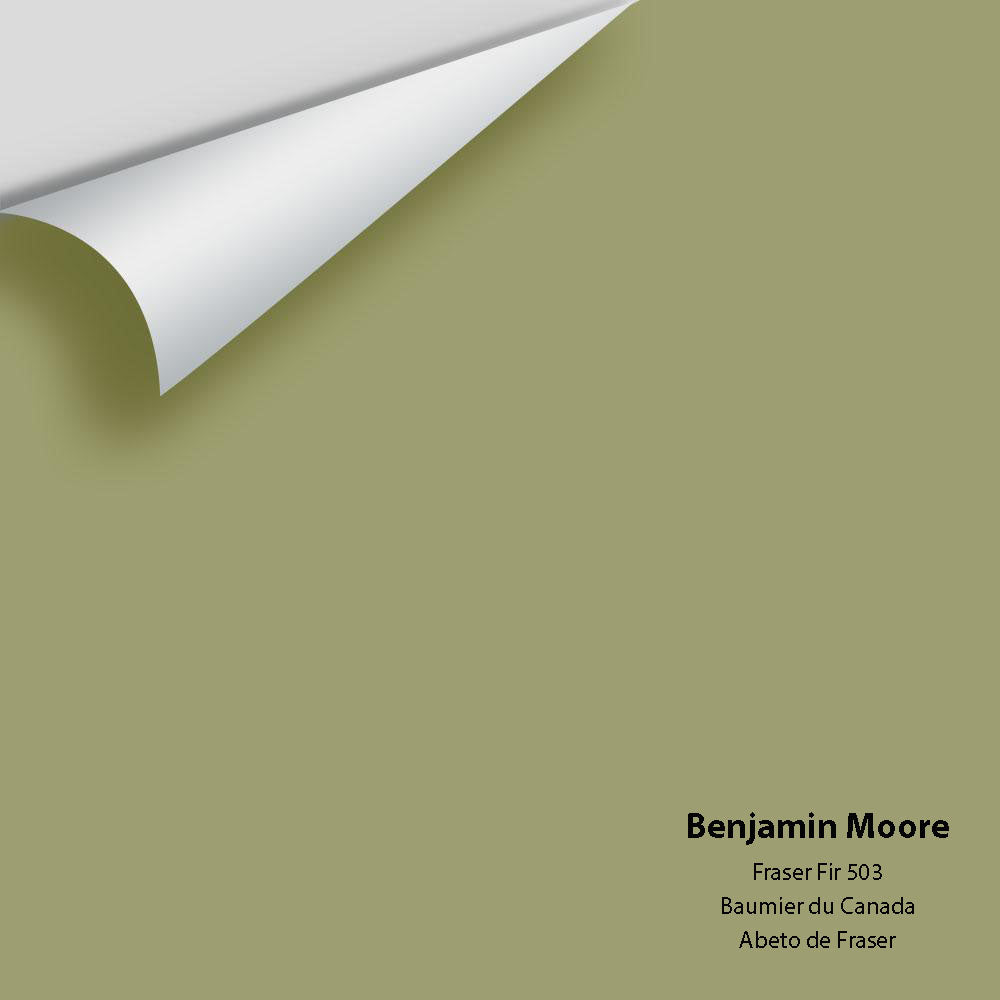 Digital color swatch of Benjamin Moore&#39;s Fraser Fir 503 Peel &amp; Stick Sample available at Anderson Paint in Michigan.