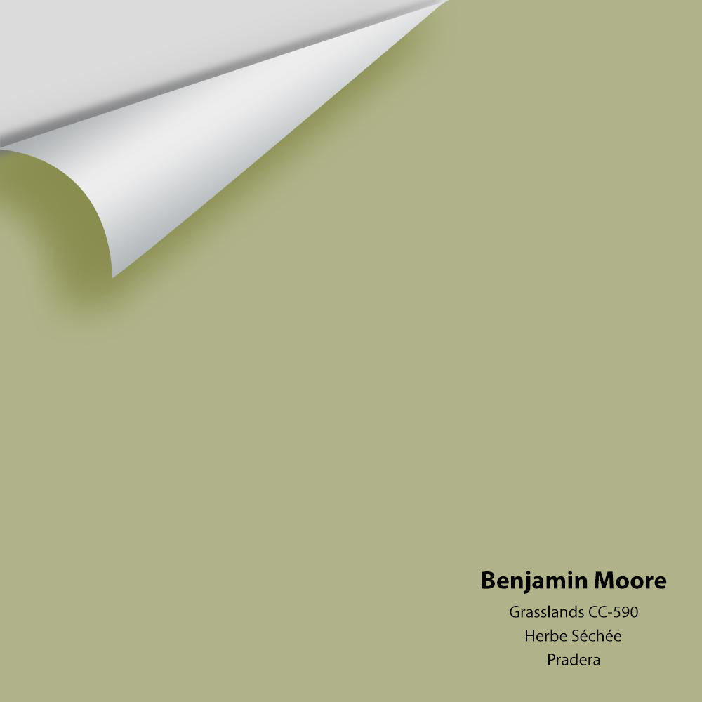 Digital color swatch of Benjamin Moore&#39;s Grasslands CC-590 Peel &amp; Stick Sample available at Anderson Paint in Michigan.