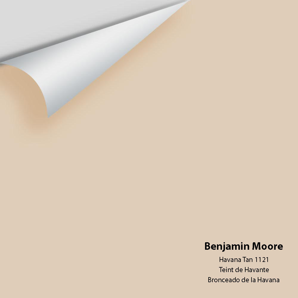 Digital color swatch of Benjamin Moore&#39;s Havana Tan 1121 Peel &amp; Stick Sample available at Anderson Paint in Michigan.
