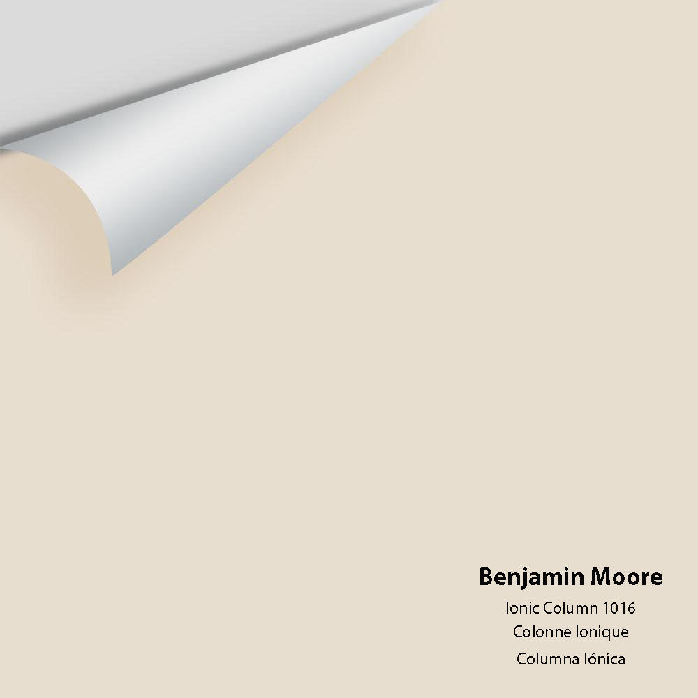 Digital color swatch of Benjamin Moore&#39;s Ionic Column 1016 Peel &amp; Stick Sample available at Anderson Paint in Michigan.