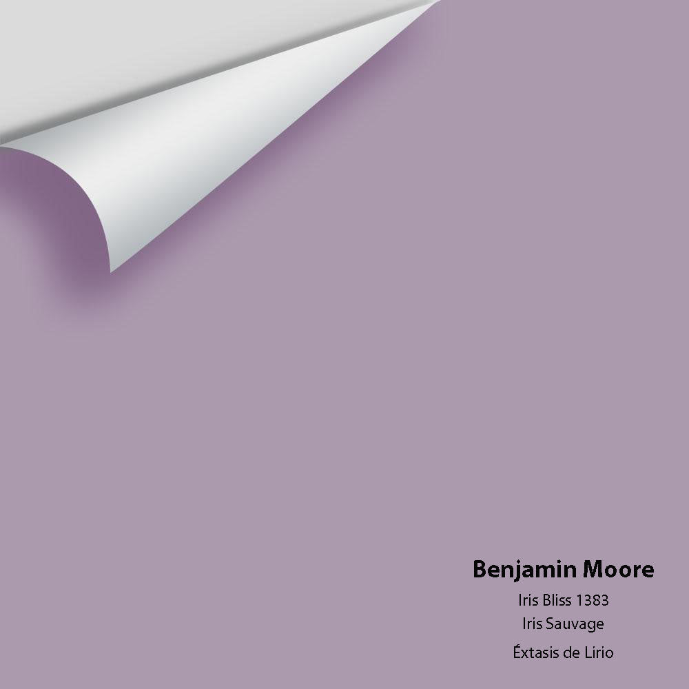 Digital color swatch of Benjamin Moore&#39;s Iris Bliss 1383 Peel &amp; Stick Sample available at Anderson Paint in Michigan.