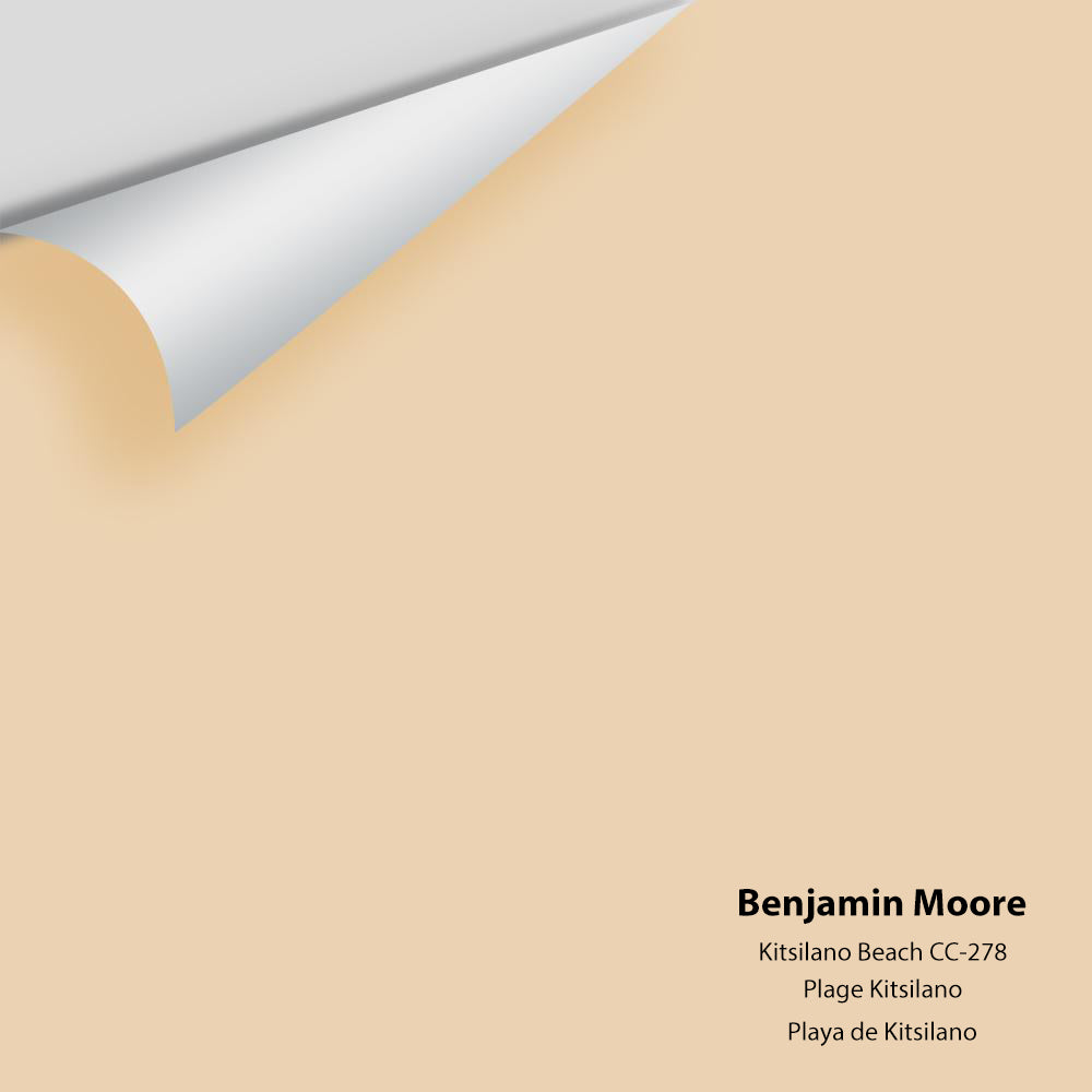 Digital color swatch of Benjamin Moore&#39;s Kitsilano Beach CC-278 Peel &amp; Stick Sample available at Anderson Paint in Michigan.