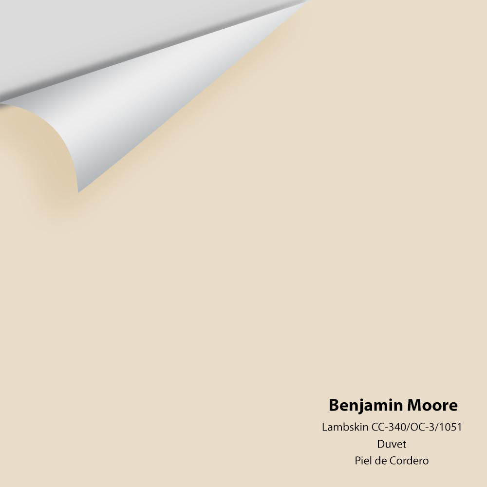 Digital color swatch of Benjamin Moore&#39;s Lambskin 1051 Peel &amp; Stick Sample available at Anderson Paint in Michigan.