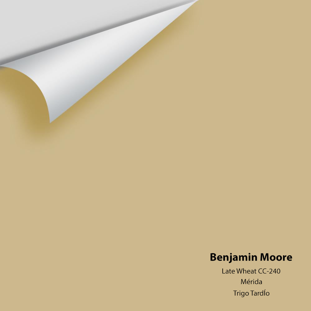 Digital color swatch of Benjamin Moore&#39;s Late Wheat CC-240 Peel &amp; Stick Sample available at Anderson Paint in Michigan.