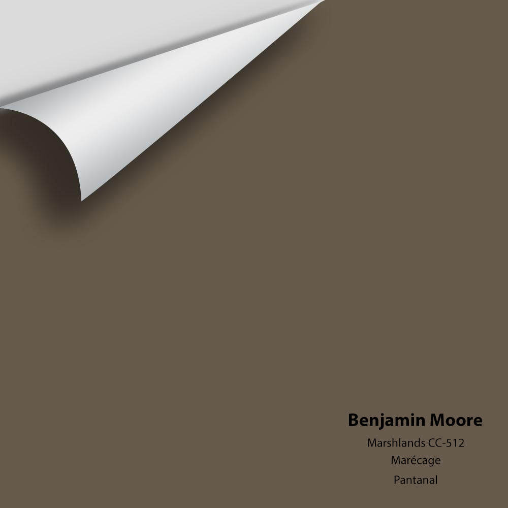 Digital color swatch of Benjamin Moore&#39;s Marshlands CC-512 Peel &amp; Stick Sample available at Anderson Paint in Michigan.