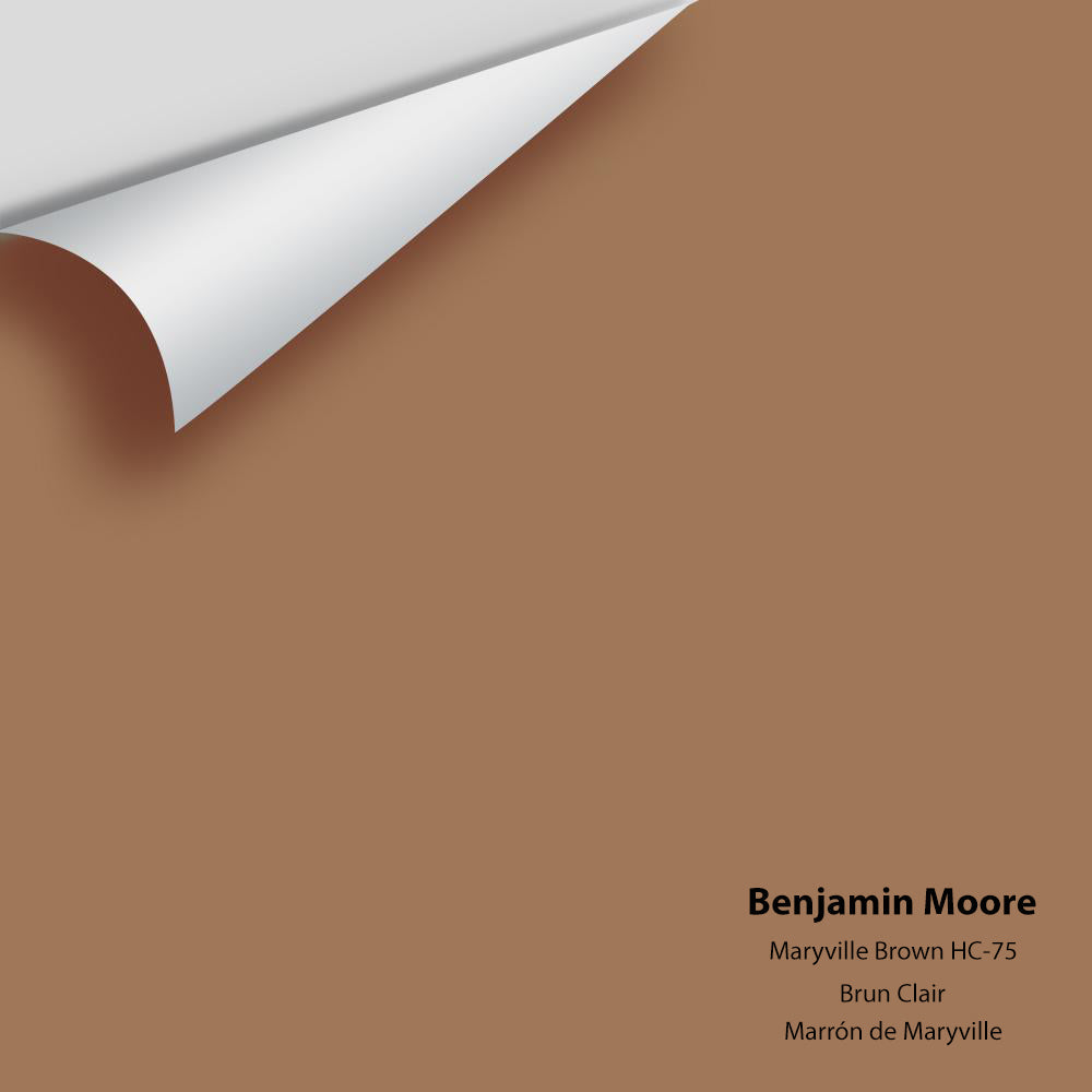 Digital color swatch of Benjamin Moore&#39;s Maryville Brown HC-75 Peel &amp; Stick Sample available at Anderson Paint in Michigan.