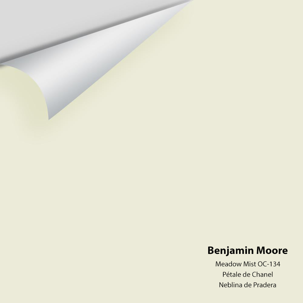 Digital color swatch of Benjamin Moore&#39;s Meadow Mist OC-134 Peel &amp; Stick Sample available at Anderson Paint in Michigan.