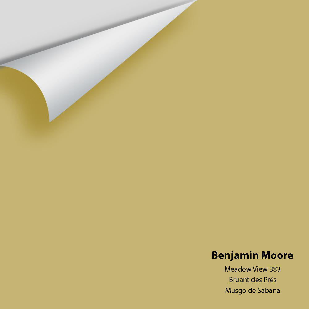 Digital color swatch of Benjamin Moore&#39;s Meadow View 383 Peel &amp; Stick Sample available at Anderson Paint in Michigan.